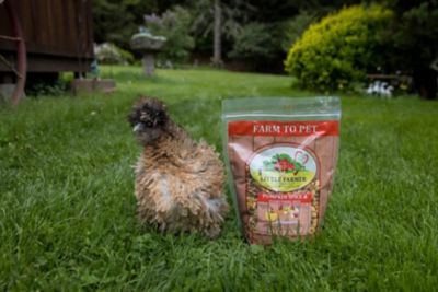 Image showing 8 th Little Farmer Products Pumpkin Spice & Everything Nice Chicken Treat, 3 lb.