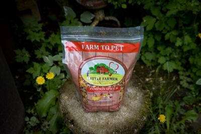 Image showing 9 th Little Farmer Products Pumpkin Spice & Everything Nice Chicken Treat, 3 lb.