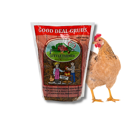 Little Farmer Products Good Deal Grubs Black Soldier Fly Larvae Chicken Treat, 1lb