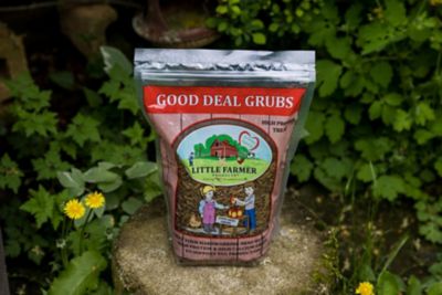 Image showing  Good Deal Grubs Black Soldier Fly Larvae Chicken Treat