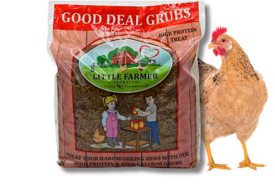 Little Farmer Products Good Deal Grubs Black Soldier Fly Larvae Chicken Treat, 5lb