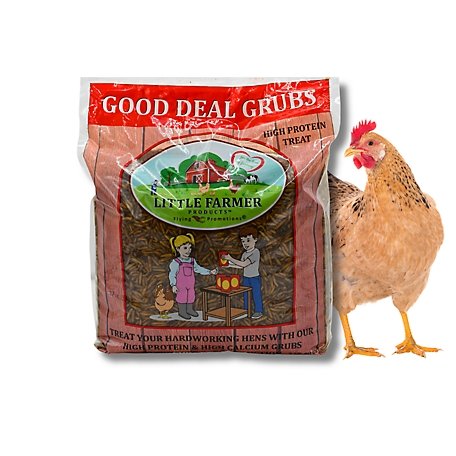 Little Farmer Products Good Deal Grubs Black Soldier Fly Larvae Chicken Treat, 5lb