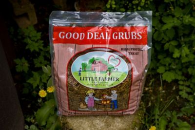 Image showing  Good Deal Grubs Black Soldier Fly Larvae Chicken Treat