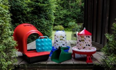 Image showing  Backyard Poultry Layer Kit: Rollout Nest Box, 5L Drinker & 4Kg Feeder with Legs, Egg Carton, Feed Scoop