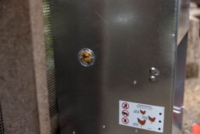 Image showing  40lb Automatic Metal Poultry Treadle Feeder, Rust-Resistant, Self-Adjusting & Eco-Friendly Feed Management