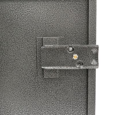 Image showing  Compact Welded-Steel Pistol/Ammo Cabinet, Hammer Granite