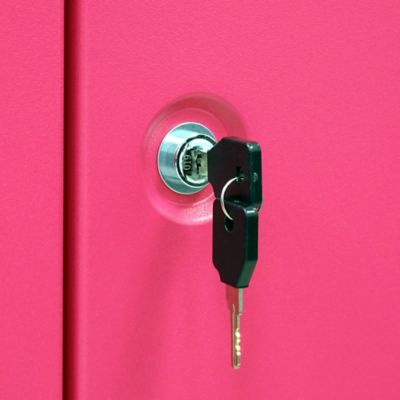 Image showing  18 Gun Key Lock Welded-Steel Security Gun Cabinet with Beveled Edge, Pink