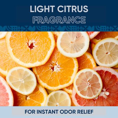 Image showing  RV Holding Tank Treatment, 33 oz., Citrus