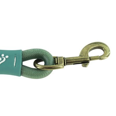 Image showing  Waterproof Dog Leash
