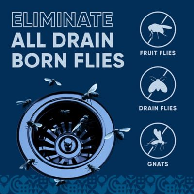 Image showing  Drain and Fruit Fly Eliminator, 2 gal.
