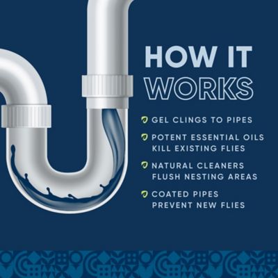 Image showing  Drain and Fruit Fly Eliminator, 1 gal.