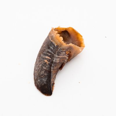 Purposeful Pup Beef Hooves, 25 Bulk