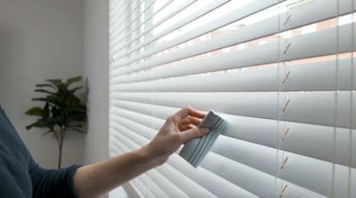 Image showing  Damp Duster