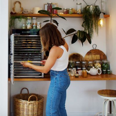 Image showing 5 th BenchFoods 1 Zone, 16 Tray, Digital Premium Dehydrator