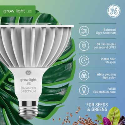 Image showing  32W LED Seeds & Greens Grow Par38