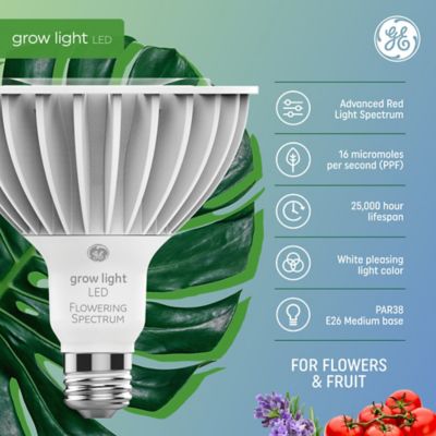 Image showing  32W LED Fruit & Flower Grow Par38