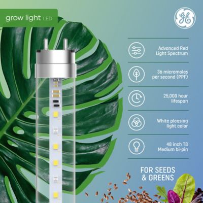 Image showing  18W LED Seeds & Greens Grow T8