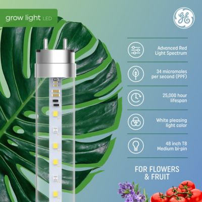 Image showing  18W LED Fruit & Flower Grow T8