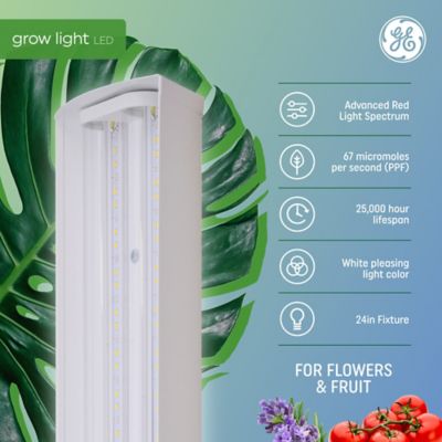 Image showing  40W Fruit & Flower Grow Linear Fixture