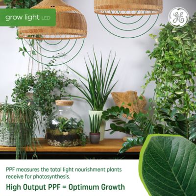 Image showing  40W Fruit & Flower Grow Linear Fixture