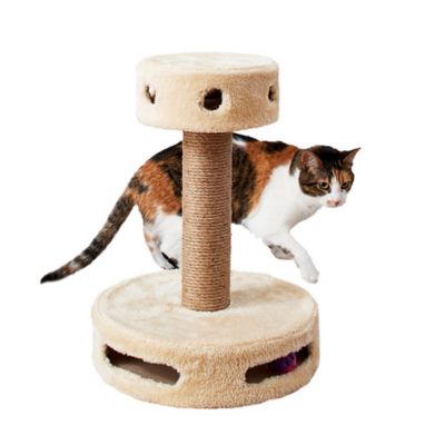 Image showing  Cashew Scratching Post Cat Furniture, 19 in.