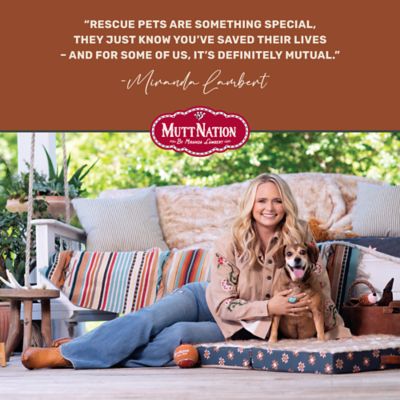 Image showing  Tequila Elevated Pet Bowl with Stand