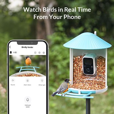 Image showing  The Self-Sufficient Birdwatcher's Dream: Auto-Recognition Feeder That Knows Every Visitor Equipped with solar panels