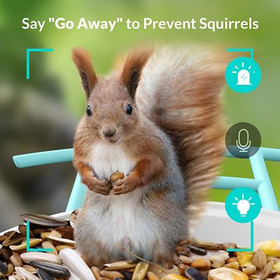 Image showing 5 th Birdfy The Self-Sufficient Birdwatcher's Dream: Auto-Recognition Feeder That Knows Every Visitor Equipped with solar panels