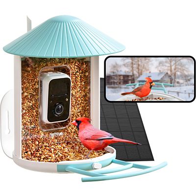 Birdfy Smart Bird Feeder with Camera, Solar Power, and AI Enabled Bird Recognition - Blue and White(AI Lifetime Free)