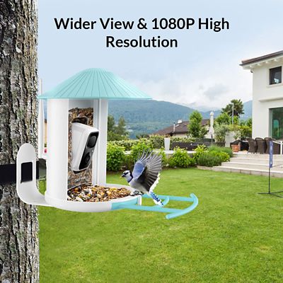 Image showing  Watch HD Live Video from Anywhere: Auto-Recognition Feeder with Solar Power to Learn Species