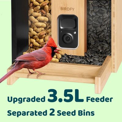 Image showing  The Self-Sustaining Bamboo Feeder: Hands-Free Birdwatching with Automatic Visitor Insights