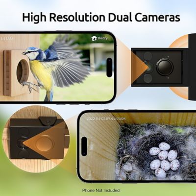 Image showing 6 th Birdfy 3.3 lb. Bird House with Camera, Identify Bird Nesting and Hatching with Automatic Notification, AI Lifetime Free