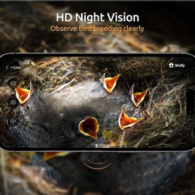 Image showing 7 th Birdfy 3.3 lb. Bird House with Camera, Identify Bird Nesting and Hatching with Automatic Notification, AI Lifetime Free