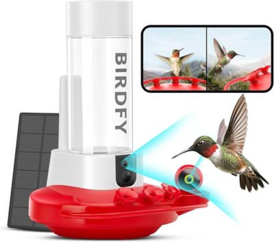 Birdfy 20 oz. Hummingbird Feeder with Camera, Intelligent Reminder of Hummingbird Visits, Ant Moat, AI Lifetime Free