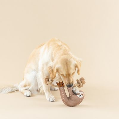 Image showing  Sloth Toy