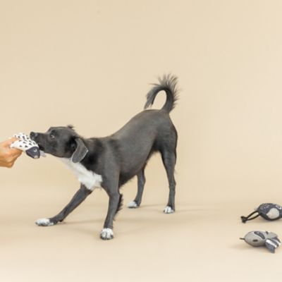 Image showing  Woods Dog Toy, 3 pk.