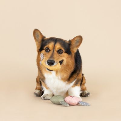 Image showing  Fruit Toy, 3 pk.