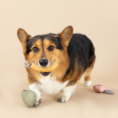 Image showing  Fruit Toy, 3 pk.