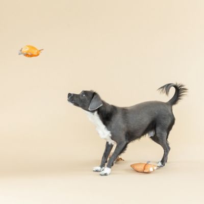 Image showing  Dinosaur Toy, 3 pk.