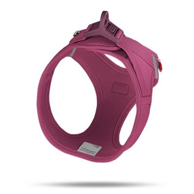 Image showing  Clasp Air Mesh Dog Harness Extra Small Ruby
