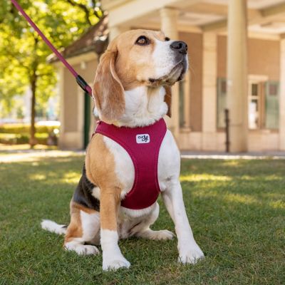 Image showing 2 th Curli Clasp Air Mesh Dog Harness Extra Small Ruby