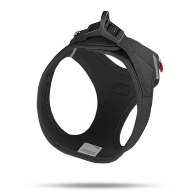 Image showing  Clasp Air Mesh Dog Harness Medium Black