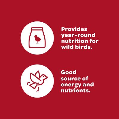 Image showing  Supreme Wild Bird Food