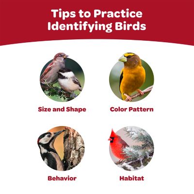 Image showing  Supreme Wild Bird Food