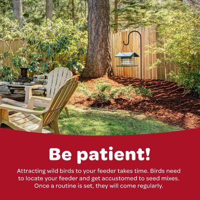 Image showing 9 th Kaytee Supreme Wild Bird Food