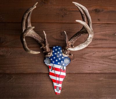 Image showing  American Iron Buck Antler Mount, Stars and Stripes