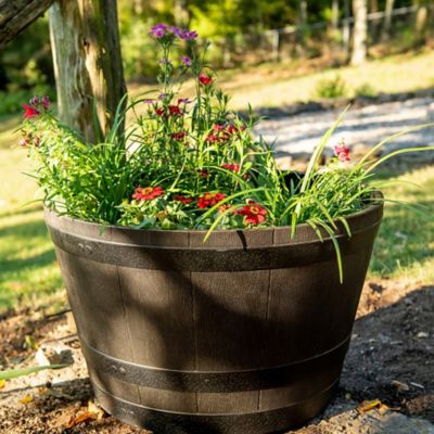 Image showing  15.5 in. Whiskey Barrel