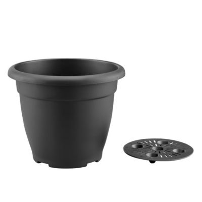 Image showing  18 lb. Plastic Basic Planter, 12 in., KD2304