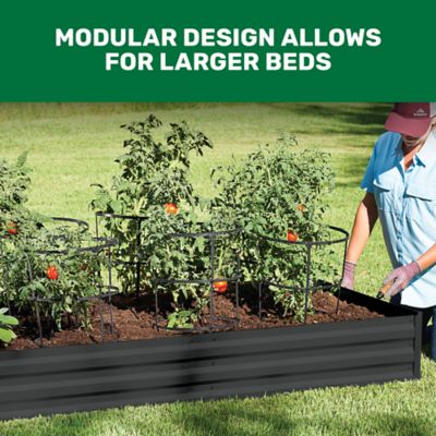 Image showing  Galvanized Steel Planter, 6 x 3 ft., Black