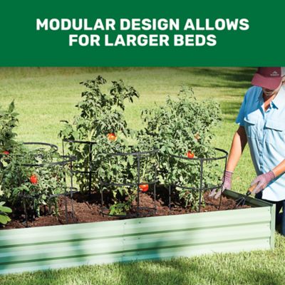 Image showing  Galvanized Steel Planter, 6 x 3 ft., Green